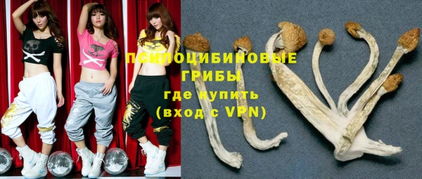 спиды Лабытнанги