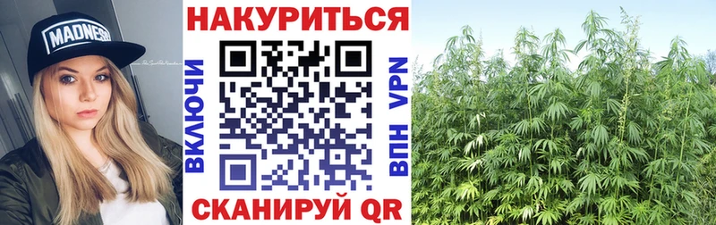 Марихуана ГИДРОПОН  где купить наркотик  Шахты 
